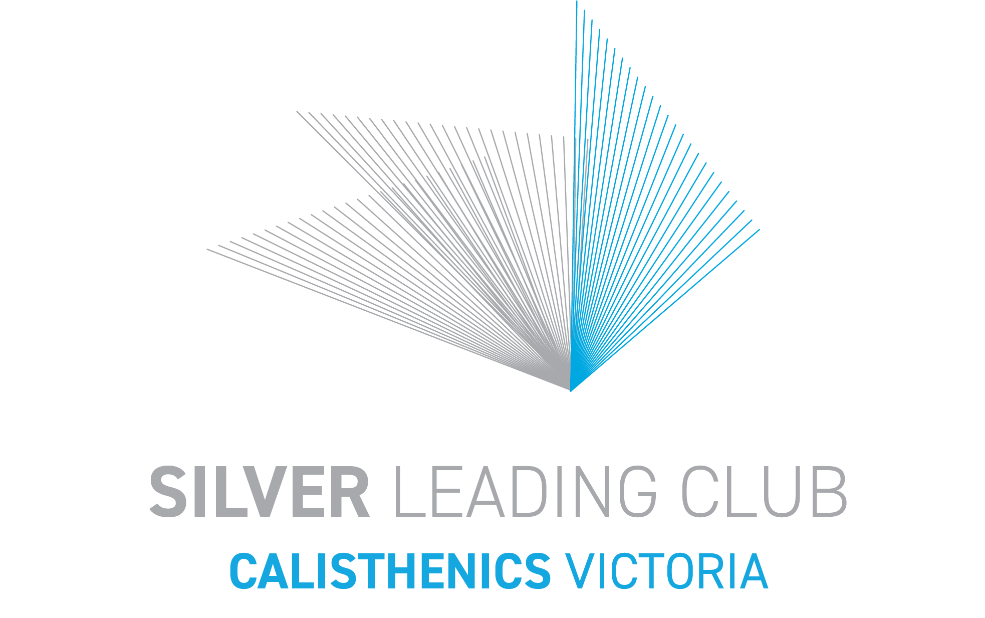 Newport CC is a Calisthenics Victoria Silver Leading Club